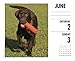 Just Labs 2018 Box Calendar (Dog Breed Calendar)
