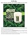 Soap & Paper Factory Roland Pine 9.5 oz Large Soy Candle