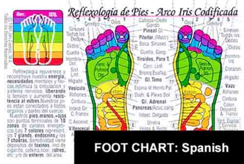 Reflexologia De Pies Arco Iris Codificata Tabla Foot Reflexology Chart Spanish Edition By Inner Light Resources 8 5 X 11 In 2 Sided Small Poster Large Card Jan Zupcsics M A Yshheyna Hamilla M A Yshheyna Hamilla M A Yshheyna
