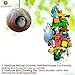 SunGrow Coconut Shell Bird House