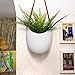 LA JOLIE MUSE Wall Hanging Planters - Modern Wall Decor 7.5 X 5.7 Inch Unglazed Ceramic Air Plant Holder Indoor, Succulent Pot with Leather Strap, Set of 2 White