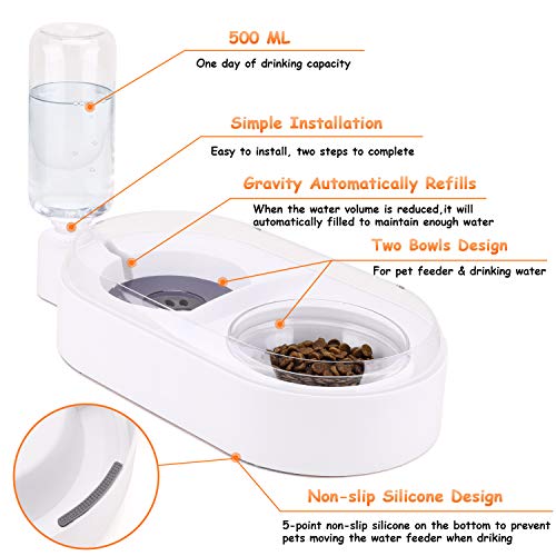 Pets Water and Food Bowl Set for Cat & Dog,Small Double Bowl Feeder with Automatic Water Dispenser,Self Cat Feeder Bowl Glass