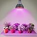 Albrillo LED Grow Light Bulb, 24W Plant Grow Light with Full Spectrum for Greenhouse Hydroponic Organic, Indoor Plants Lights, E26 Base