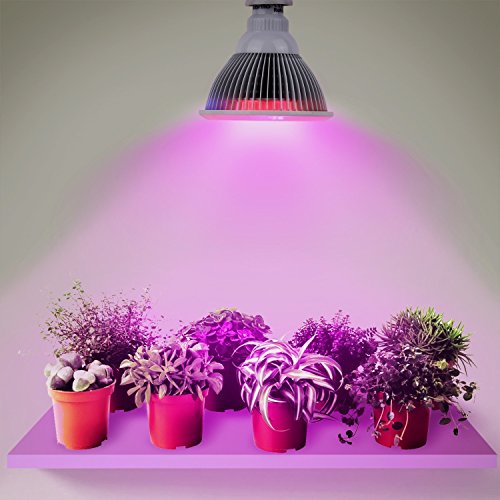 Albrillo Grow Light Full Spectrum, Growing Plant LED Bulb 24W E26 for Greenhouse Hydroponic Organic