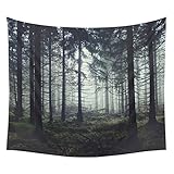 Xinhuaya Woodland Wall Art Home Decor Retro Vintage Style Forest with Sunlight Tree Branches Tapestry Wall Hanging Art Sets