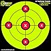 EASYSHOT Sight-in Shooting Targets – Paper Targets with 1 x 1-inch Grid – High-Contrast Color Targets for Shootin (100, 13X13 Bullseye Yellow)