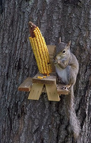 Picnic Table Squirrel Feeder Buy Online See Prices Features