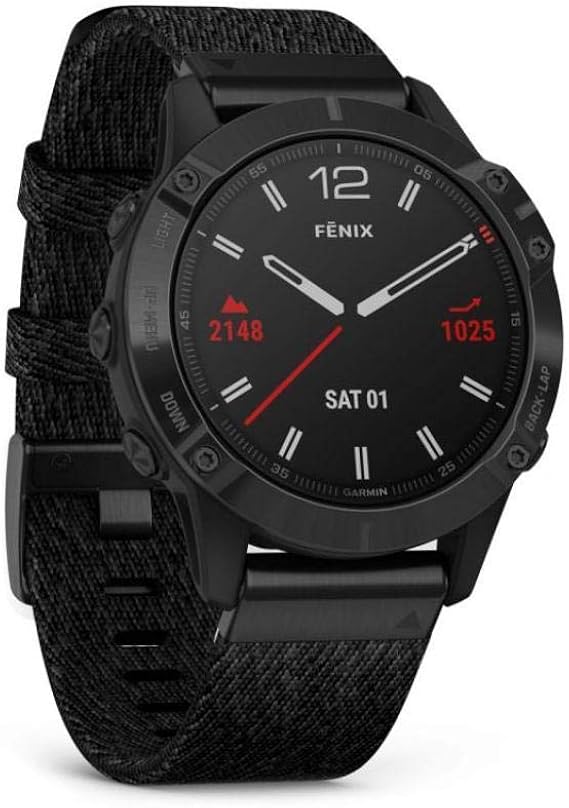garmin fenix 6 dlc