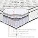 Modway Jenna 10” Innerspring and Memory Foam Queen Mattress With Individually Encased Coils