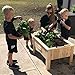 Boldly Growing Raised Vegetable Garden Patio Planter Kitthumb 4