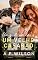 Livro Um velho casarão (Os "Hot Romances" de A P Wilson Livro 4)