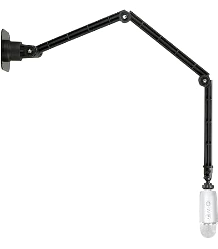 Amazon.com: K&M 22160 Ceiling Mount Microphone Stand - 860 to