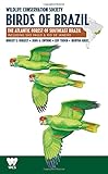 Wildlife Conservation Society Birds of Brazil: The Atlantic Forest of Southeast Brazil, including São Paulo and Rio de Janeiro (WCS Birds of Brazil Field Guides) (Volume 2) by Robert S. Ridgely, John A. Gwynne