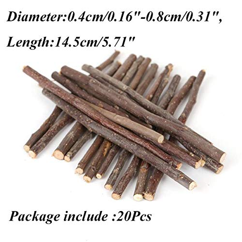 Cat Toys - 20pcs Cat Cleaning Tooth Natural Catnip Pet Molar Toothpaste Stick Actinidia Fruit Silvervine Snack - Fiddle Guy Computed Axial Tomography Dog Vomit Play Retch Diddle
