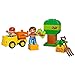 Lego DUPLO Push Train 10507 Train Toy