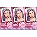 Garnier Hair Color Sensation Hair Cream, Sweet Lavender Dreams, 3 Count