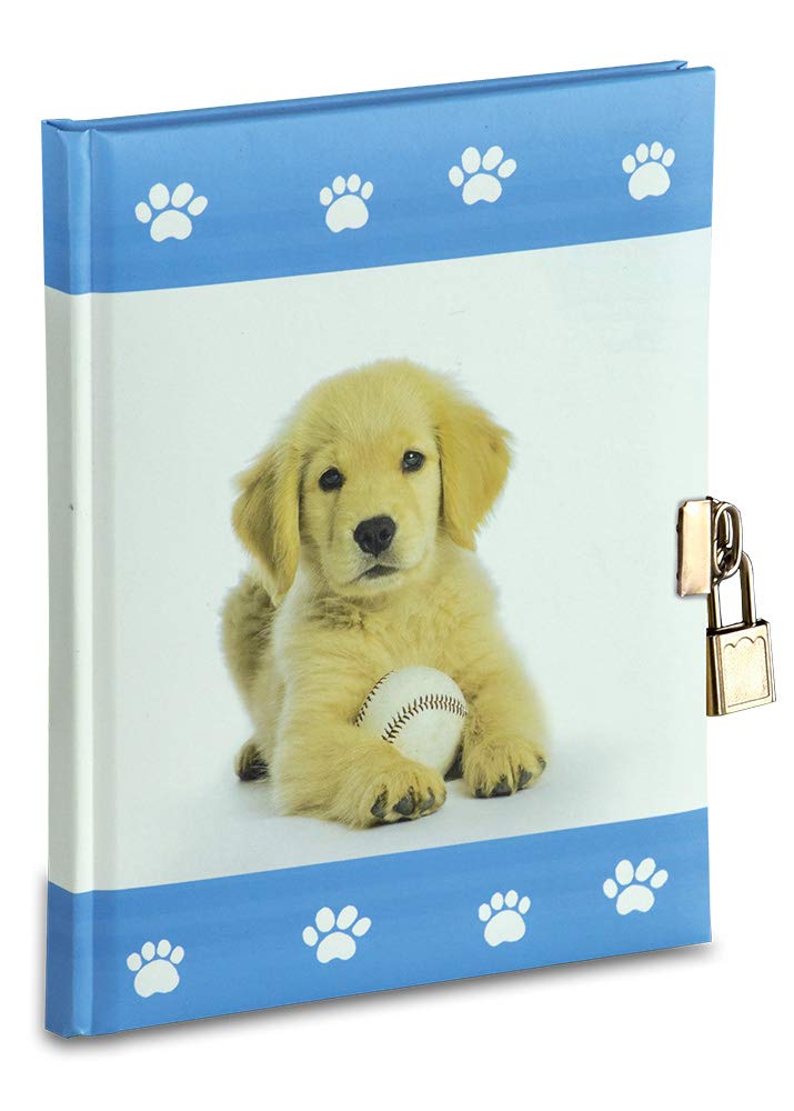 Secret Diary with Metal Lock and 2 Keys Size 14.5 x 18 cm, 64 White FG Equivalent to 128 Pg A Special Diary for Boys a Friend to Write Friendships Thoughts Loves, Heavenly Dog