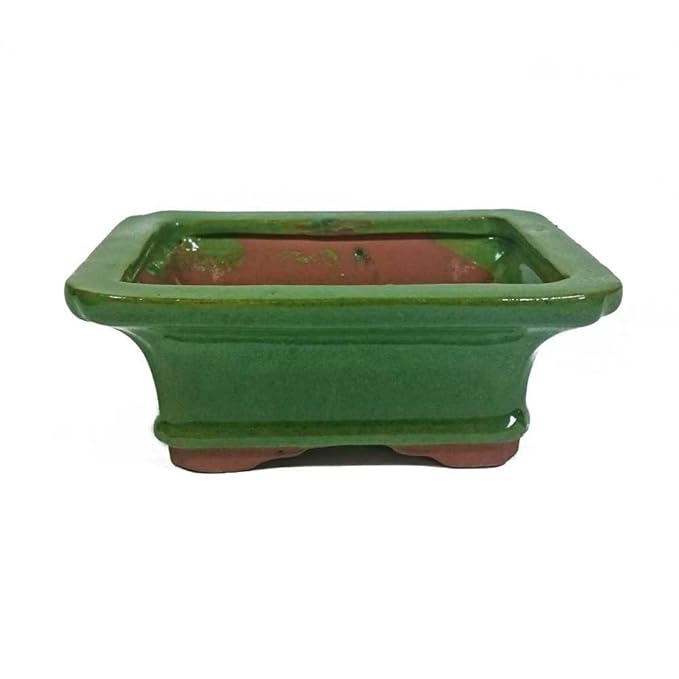 Bonsai Pot Amazon.co.uk Garden & Outdoors