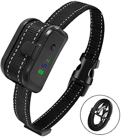 shock collar beeping noise