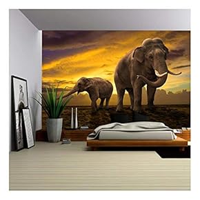 Elephants Family on Sunset - Removable Wall Mural | Self-Adhesive Large Wallpaper - 66x96 inches