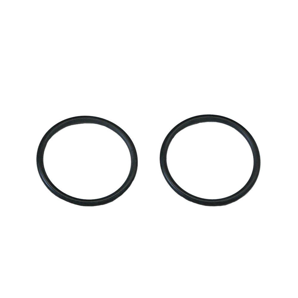 Grünbeck Gasket Set for Filter Boxer, FS-B 1 Inch, 1 1/4 Inch Bells O-Ring, Pack of 2