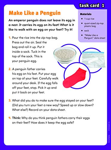 image for Scholastic SuperScience STEM Instant Activities: Grades 1-3: 30 Hands-