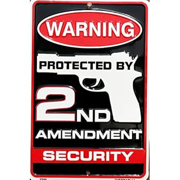 Tag City Novelty SP80063 Warning Protected By 2nd Amendment Security Metal Sign, (8 X 12 Inches)