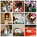 PETKIT Portable Dog Paw Cleaner with Soft Silicone Bristles Antispill Dog Foot Cleaning Washer Cup for Cats Dogs, Pet Muddy Paws Washing Cup, Easy to Use and Clean
