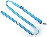 DEXDOG Adjustable Dog Leash Blue Strong Long Large Short Walking Leash for Dogs, Puppy Leash, Pet Leash - Puppy Supplies & Dog Accessories for Large Medium Dogs (Blue, 1 inch)