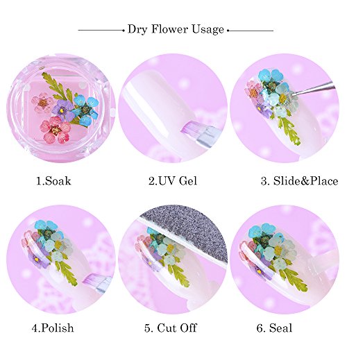 2Box 3D Nail Art Dried Flower Mixed Preserved Daisy Babysbreath Natural Sticker DIY Manicure Nail Art Decorations - Thumbnail 4
