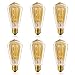 Homesita ST64 110V Vintage Antique Edison Style Incandescent Clear Glass Light Lamp Bulb Dimmable(6 pack)
