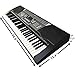 ADM 61 Key Electronic Keyboard Piano Beginner SuperKit with Microphone, Keyboard Sticker, Power Supply, Black