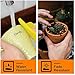 Airmall TZe-251 24mm 0.94 Laminated White Label Tape Compatible with Brother P Touch Label Maker Tape TZe251 TZ-251 1 Inch for Brother PT-D600 PT-D610BT PT-P710BT PT-P700 P900W Label Maker, 8-Pack