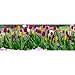 JTT Scenery Products Flowering Plants, Tulips