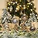 Sea Team Shatterproof Clear Plastic Christmas Ball Ornaments Decorative Xmas Balls Baubles Set with Stuffed Delicate Decorations (70mm/2.76 inch 24-Pack, Black)