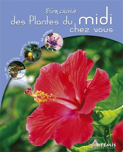 Des  plantes du Midi chez vous