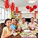 JOVITEC 10 Pieces 11.8 Inches Chinese Red Plastic Paper Lantern Red Hanging Lantern Decoration for Chinese Spring Festival