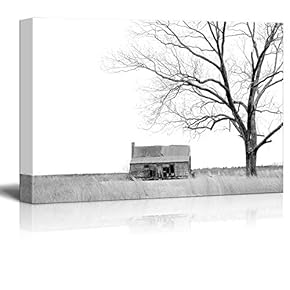 Canvas Prints Wall Art - Abandoned Farmhouse in Rural South Carolina - 12" x 18"