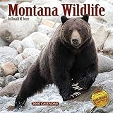 2020 Montana Wildlife Wall Calendar by