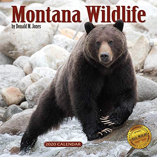 2020 Montana Wildlife Wall Calendar by