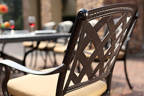 Darlee 201630-7CH-2 Cast Aluminum Swivel Counter Height Bar Stool & Seat Cushion (Set of 2), Antique Bronze