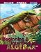 Beginning and Intermediate Algebra