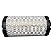 Fat Dragon GOLF Club Car Golf Cart Engine Air Filter | For Precedent Gas Golf Carts 2004+