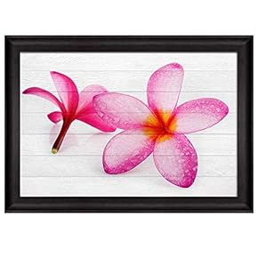 Pink Hawaiian Plumeria Flower Over White Wooden Panels...