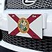 GRAPHICS & MORE Florida State Flag Novelty Metal Vanity License Tag Plate