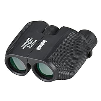 best 10x25 binoculars