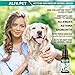 Kennel Cough Medicine for Dogs, Organic Dog Cough Medicine for Colds and Allergies - Natural Kennel Cough Treatment with Mullein Leaf and Elderberry