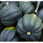 Squash Seeds- Table Queen Acorn- Heirloom- 40+ Seeds