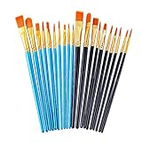 DAIKOYE Acrylic Paint Brushes Set, 20 Pcs Artist