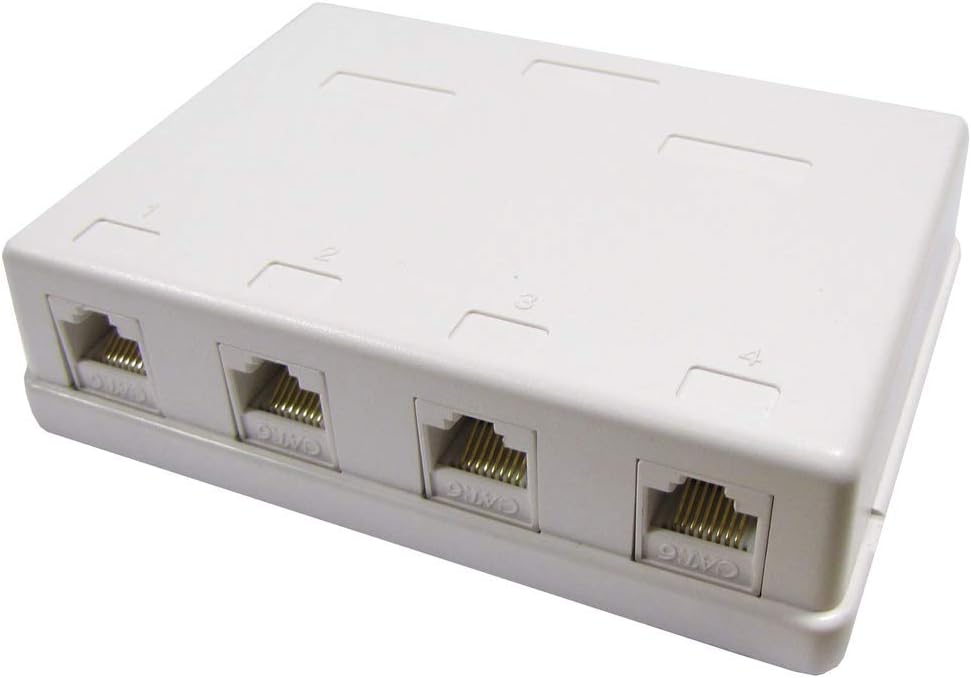 BeMatik - Caja de superficie de 4 RJ45 Cat.6 UTP: Amazon.es: Informática